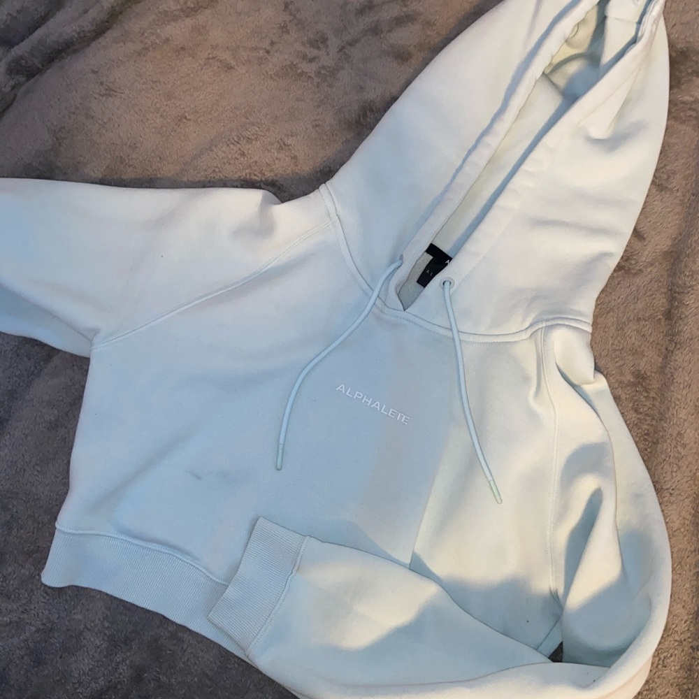 Alphalete cropped hoodie